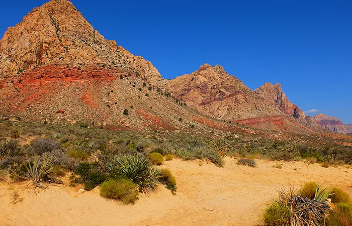 Passeio a Cavalo no Red Rock Canyon em Las Vegas - Vista