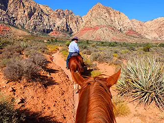 Passeio a Cavalo no Red Rock Canyon em Las Vegas - Guia
