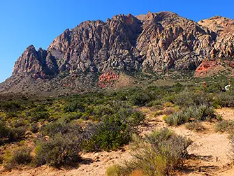 Passeio a Cavalo no Red Rock Canyon em Las Vegas - Natureza
