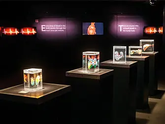 Bodies the Exhibition em Las Vegas